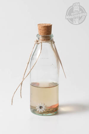 A3.2 Phillipa Bolton