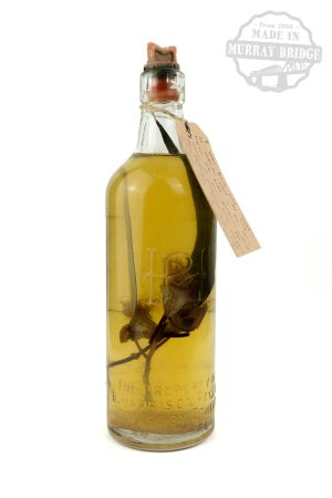 I was born and raised in the suburbs, where the only water we have is the storm water in our gutters, washing the bottle brushes away.  The water in this bottle is representative of that, and we must treat it before it reaches our ocean.  Seb Basso