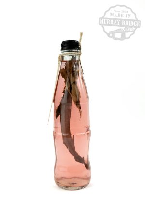 My home is the Goulburn River in Murchison.  The water I collected is red.  It runs through the rivers of our country the same way it runs through the blood in our veins - connecting us all.  In 25 years we respect the rivers as the lifeblood that they are. Genevieve Lodge